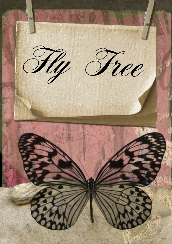 divorce recovery fly free